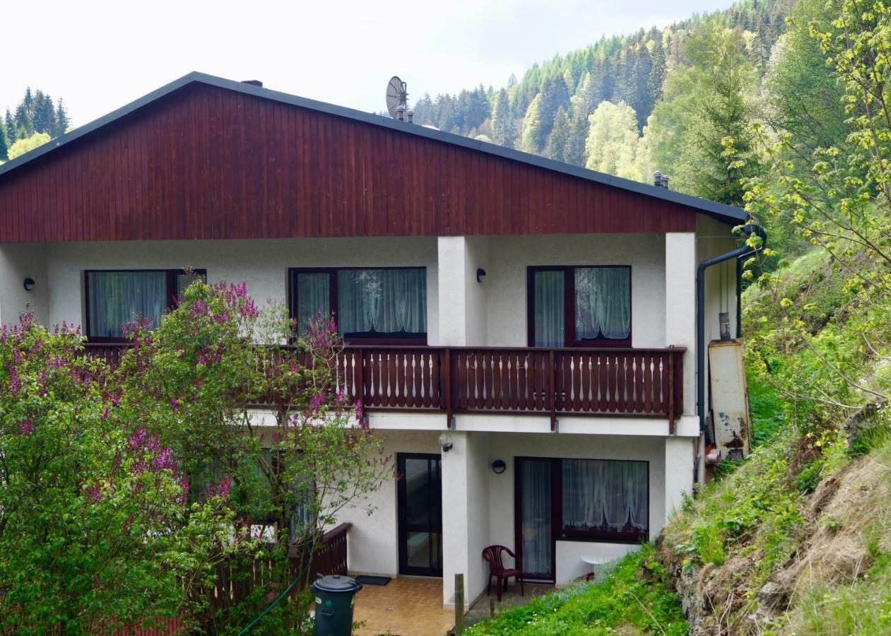 Pension Zum Ritter Katzhutte Exterior photo